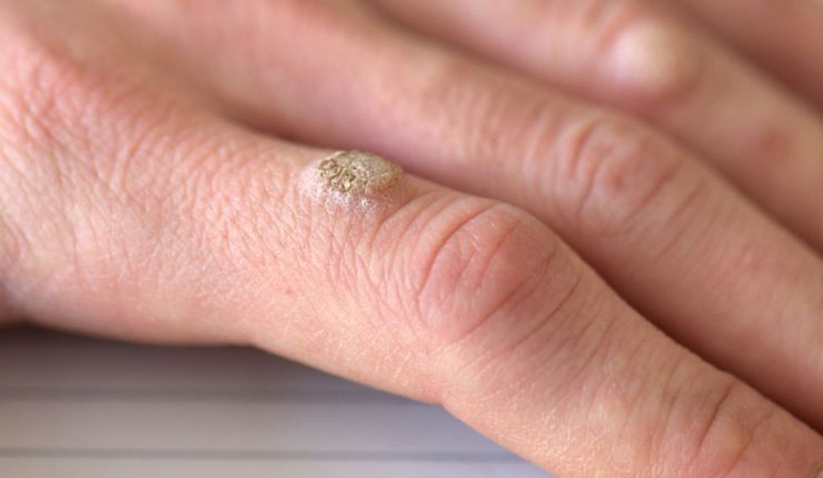 Shutterstock 1053490847