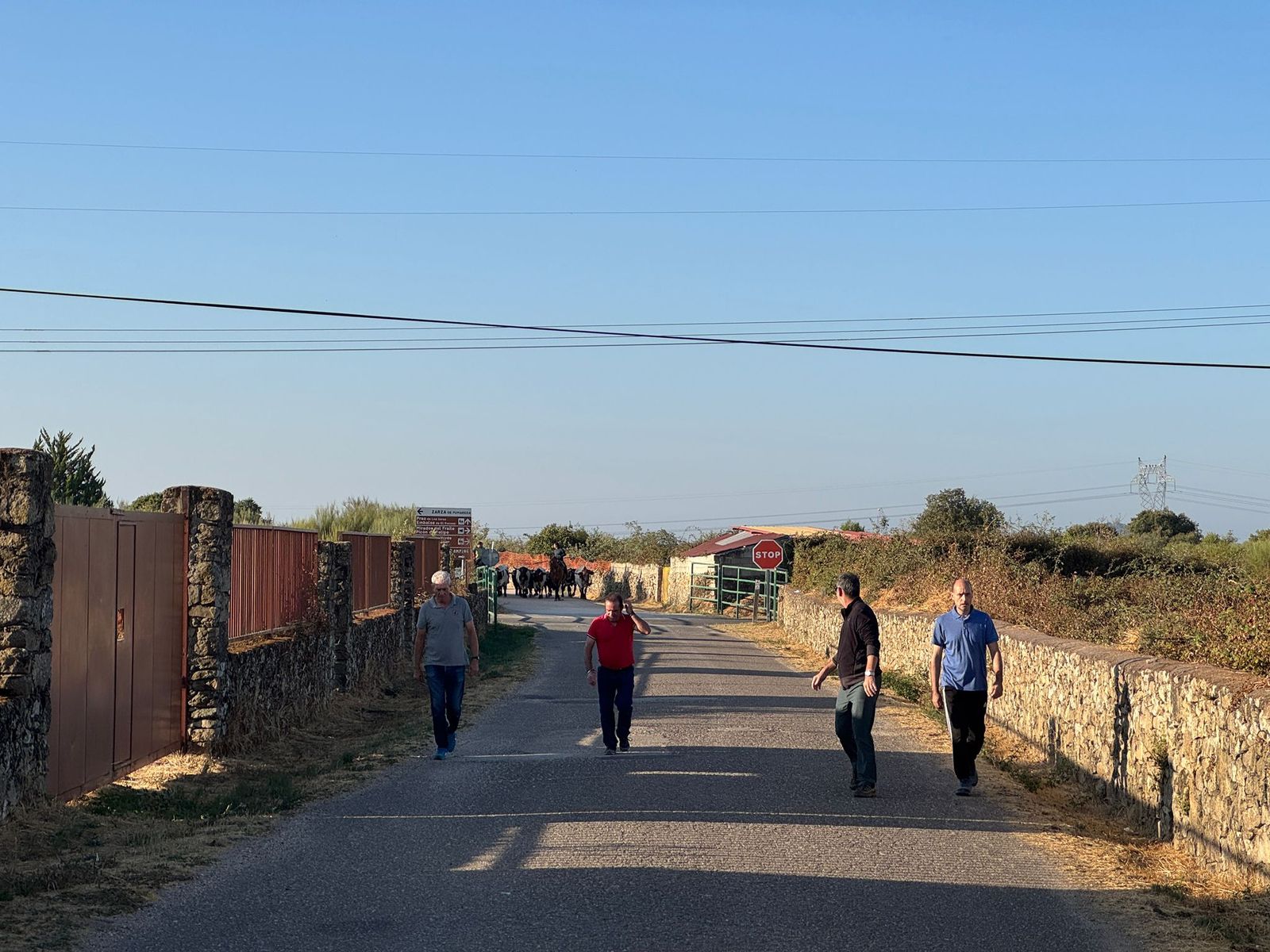 Aldeadávila, encierro urbano 27 de agosto 25 (9).jpg