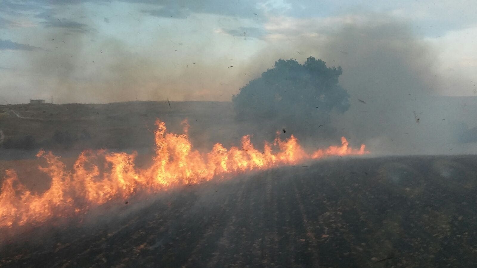 Incendio en Palomares de Alba