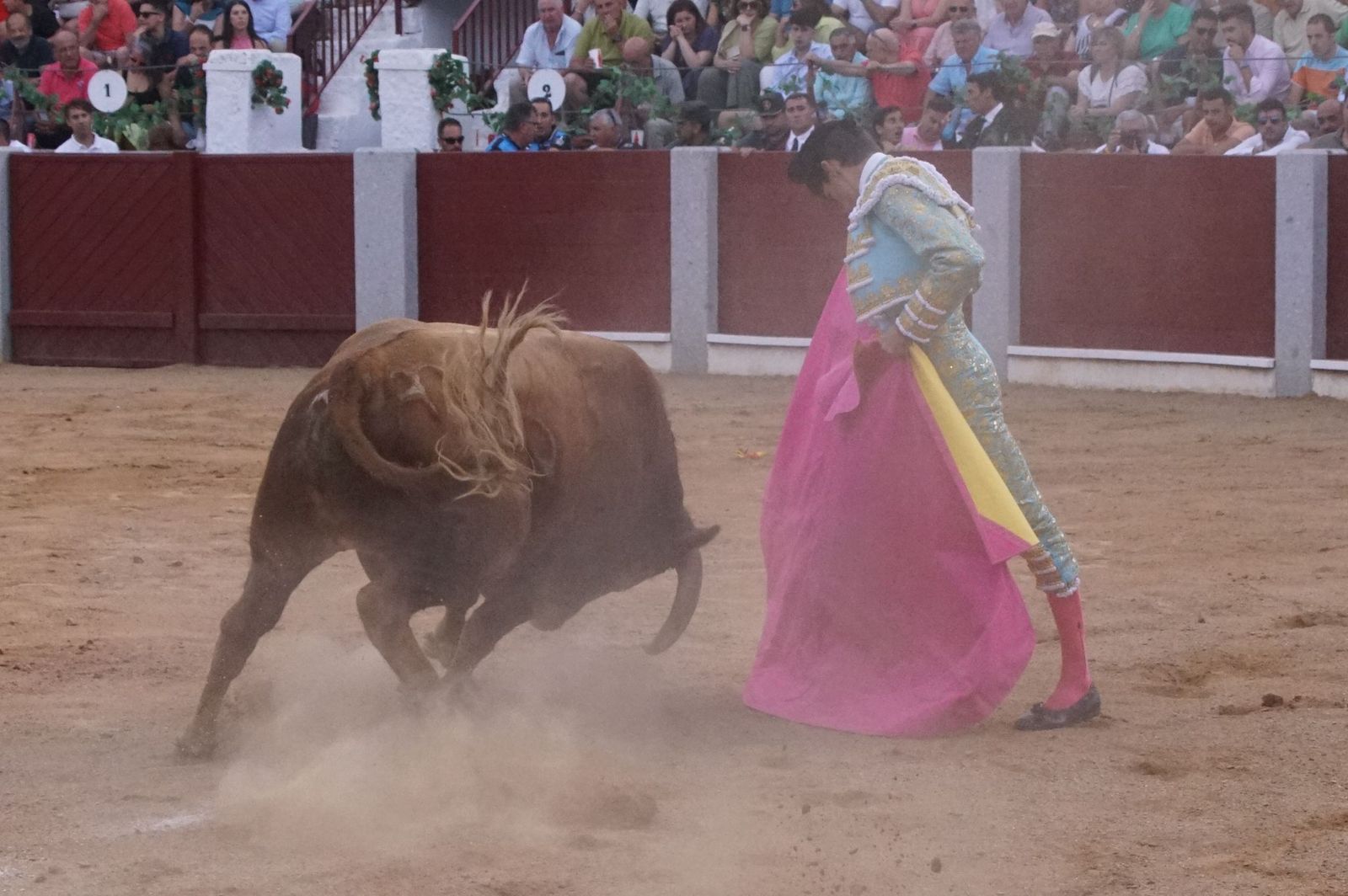 corrida-rejones-guijuelo-15