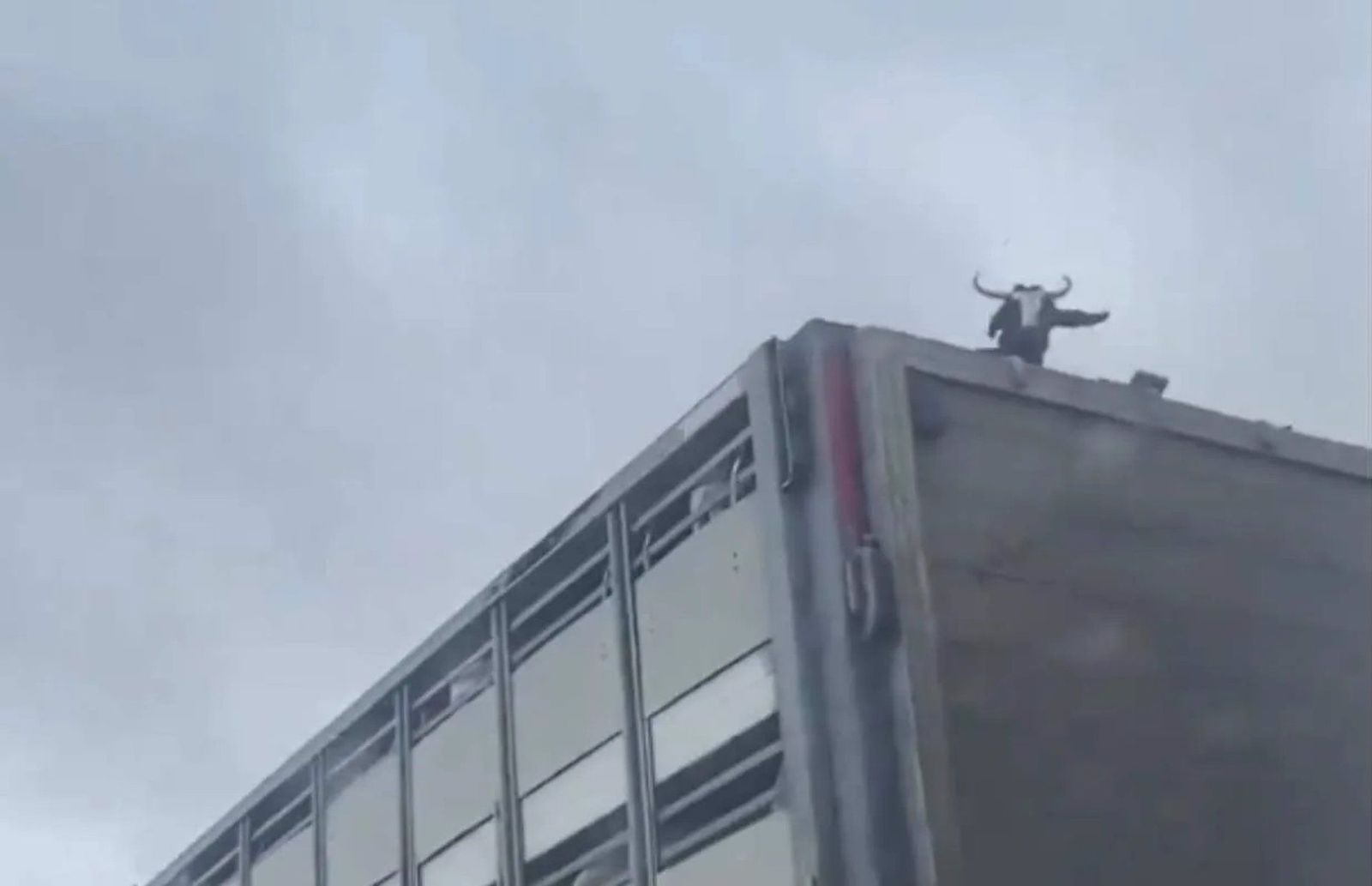 Captura del vídeo viralizado en redes