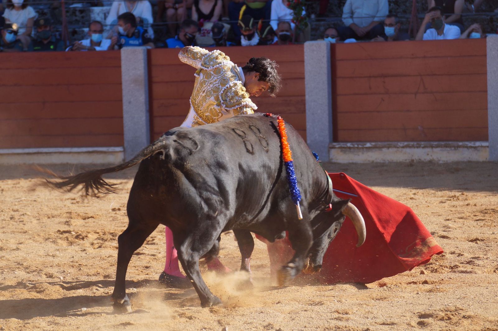 corrida-de-toros-en-guijuelo-25
