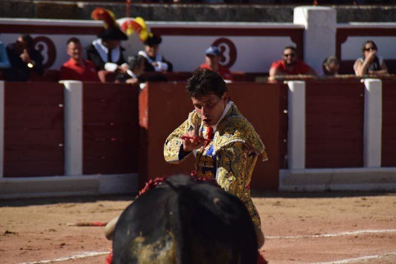 Novillada Sábado de Gloria 2017