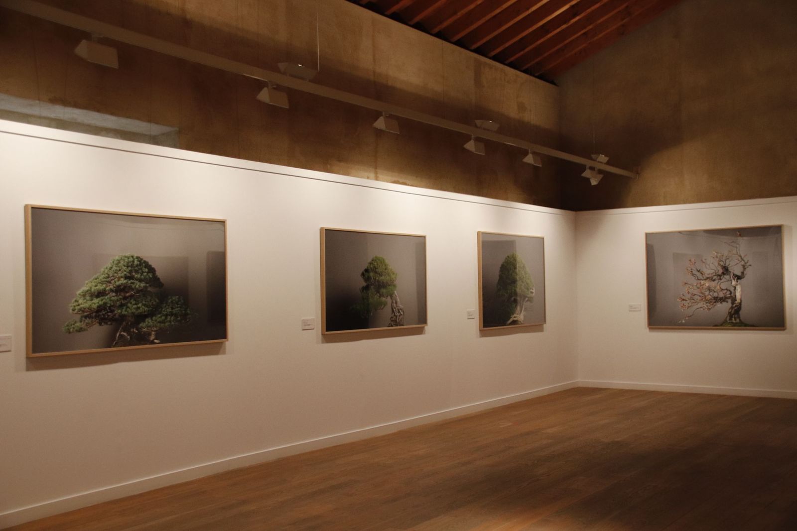 20220120110051-mg-4494