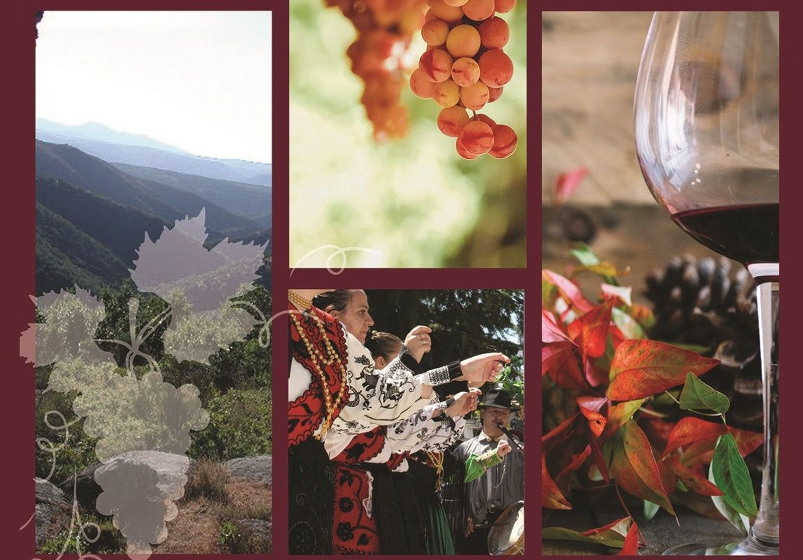 Dip rutavinosierrafrancia A