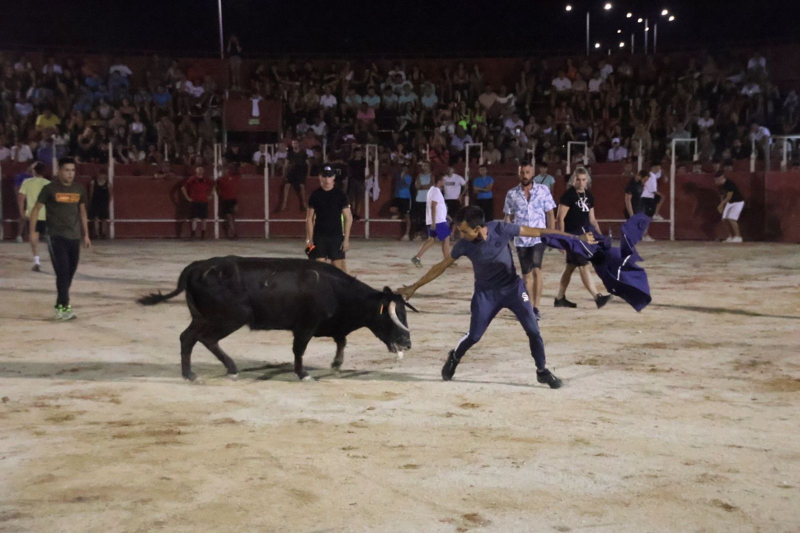 20230812213711-img-1286