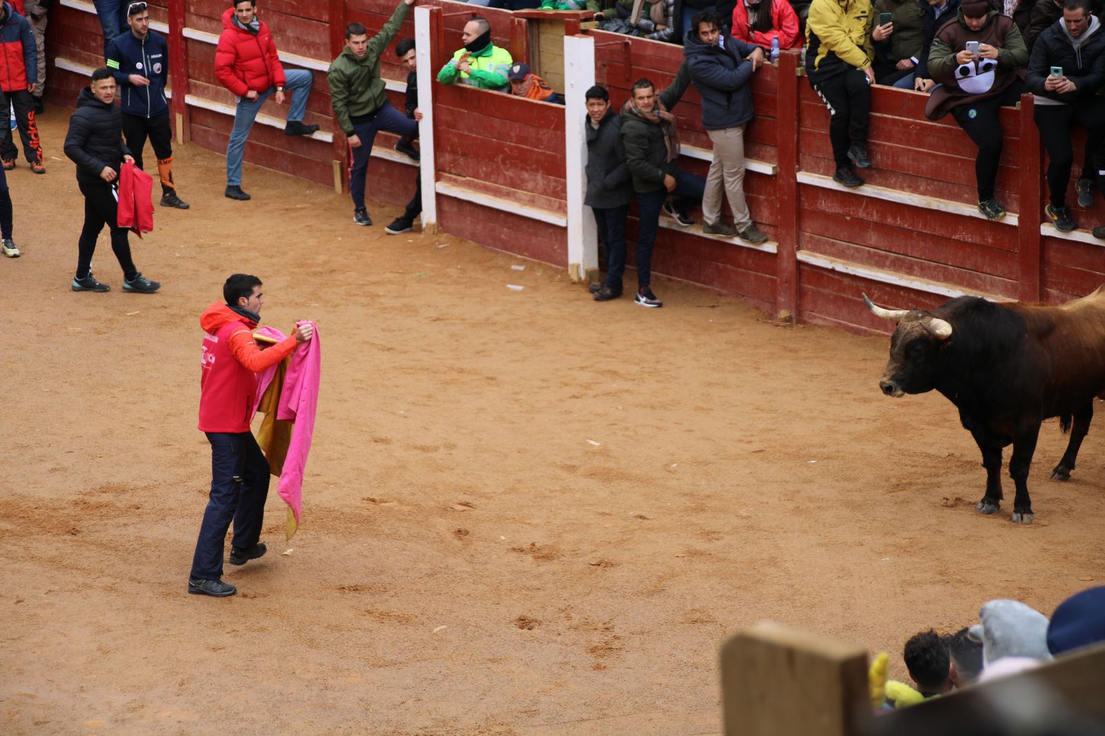 ambiente-durante-el-encierro-urbano-de-ciudad-rodrigo-sabado-10-de-febrero-fotos-s24h-91