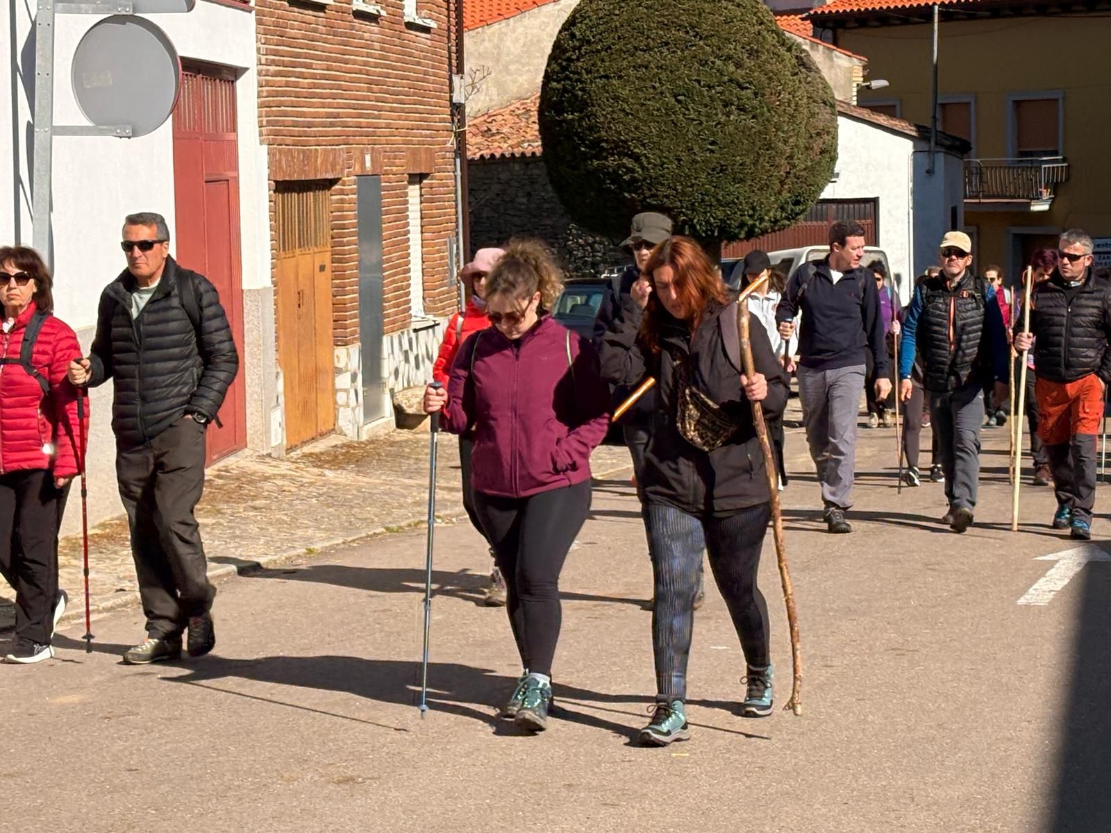 whatsapp-image-2025-03-30-at-11-25-26