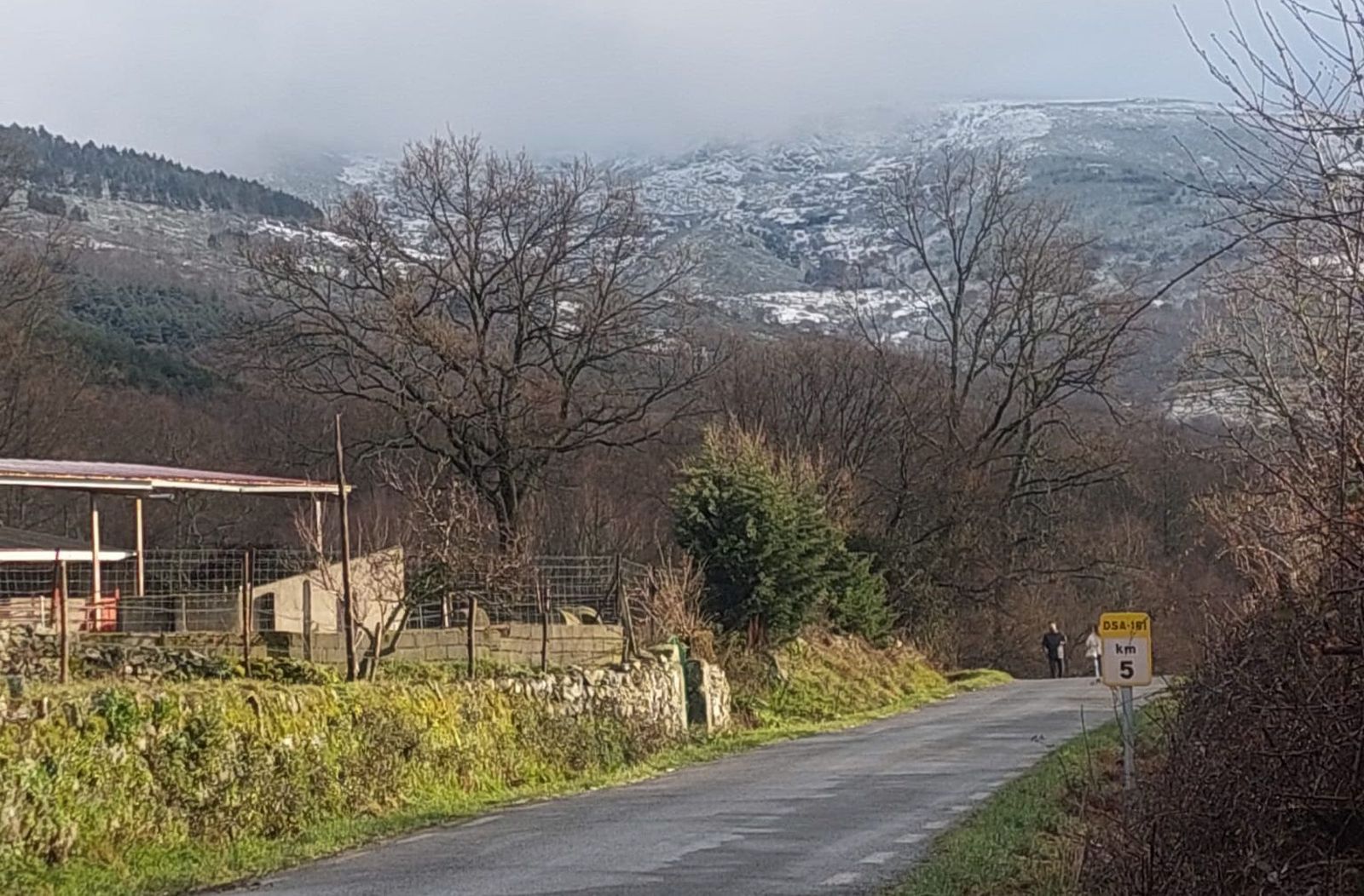 whatsapp-image-2024-02-10-at-17-50-49