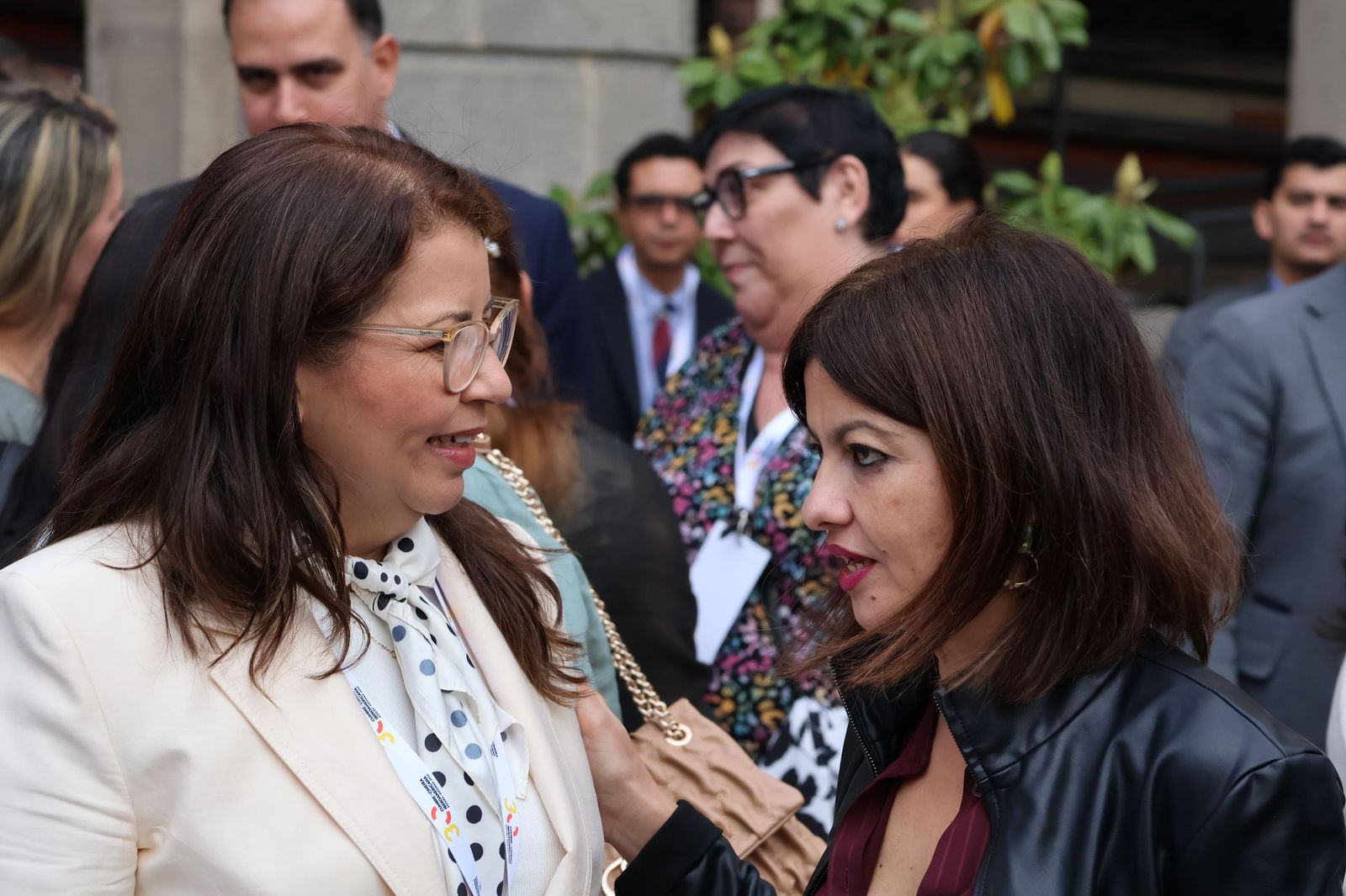 Recepción Reunión Iberoamericana de la Juventud y la Infancia (116).JPG