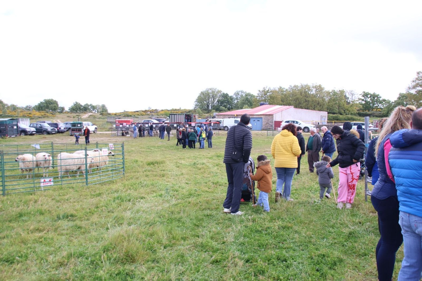 20240501103216-img-2909