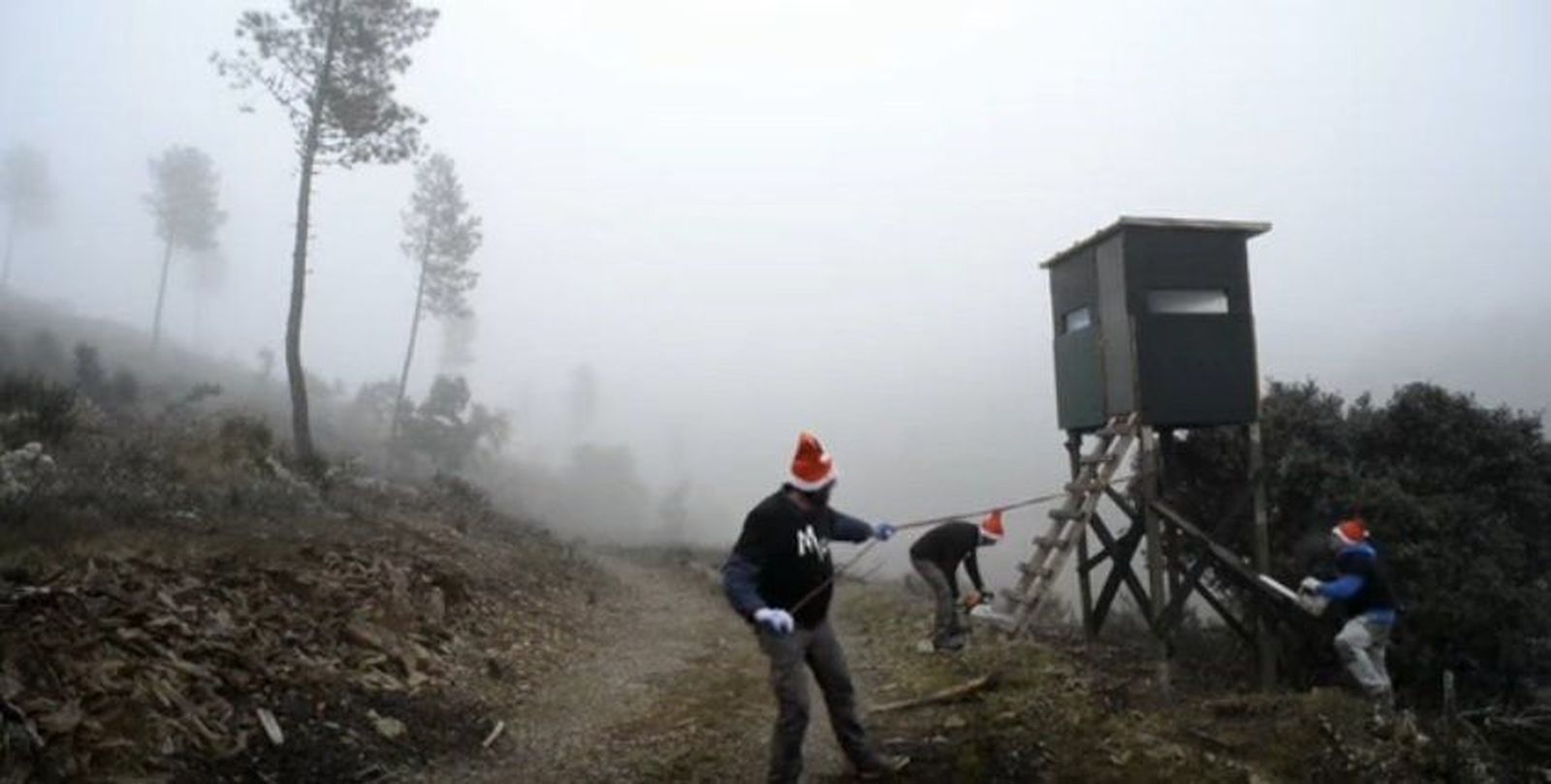 Lobo Marley, condenado a pagar 50.000 euros por destruir dos torres de caza en Sanabria