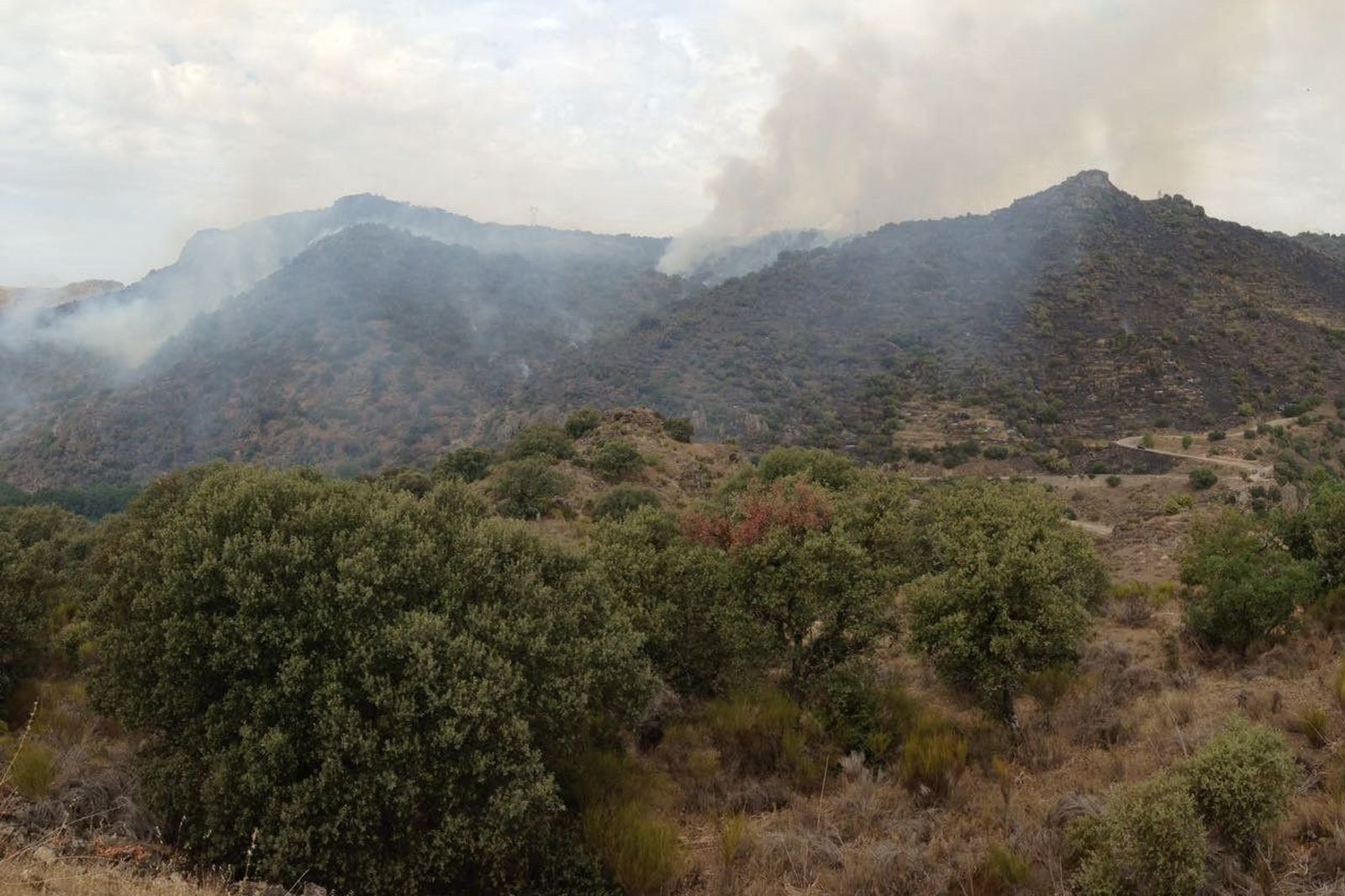 Incendio Fermoselle ago17