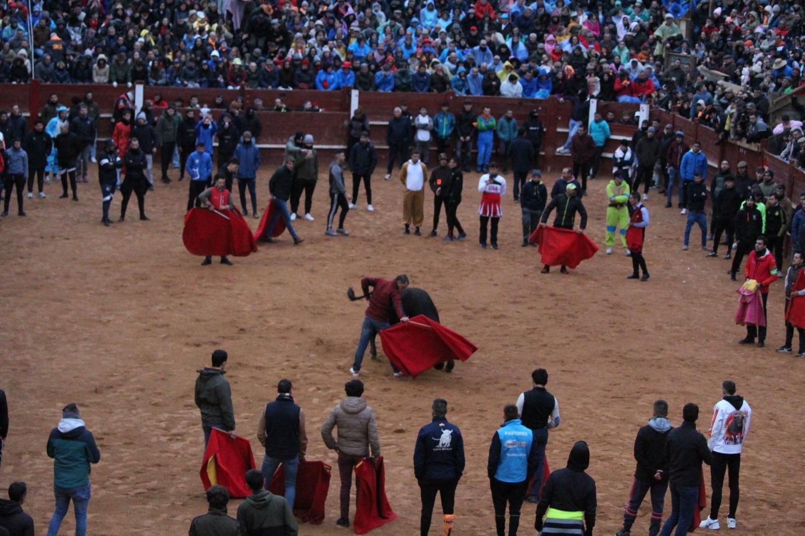 ambiente-y-capea-vespertina-sabado-de-carnaval-en-ciudad-rodrigo-2025-fotos-belen-hurtado-10
