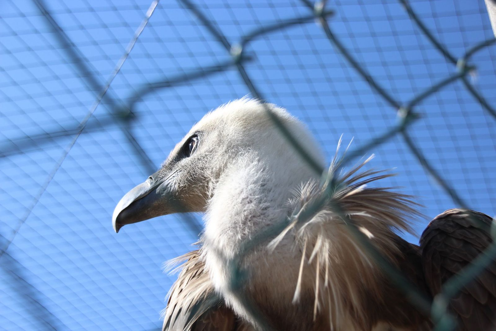 20230304152806-img-1684