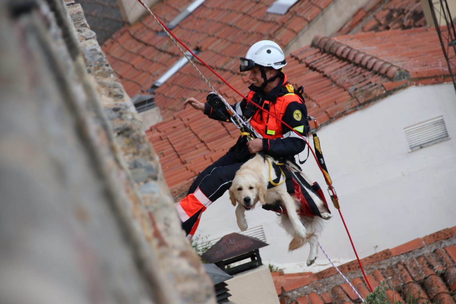 los-bomberos-rescatan-a-un-perro-en-el-jardin-botanico-de-salamanca-fotos-andrea-m-16