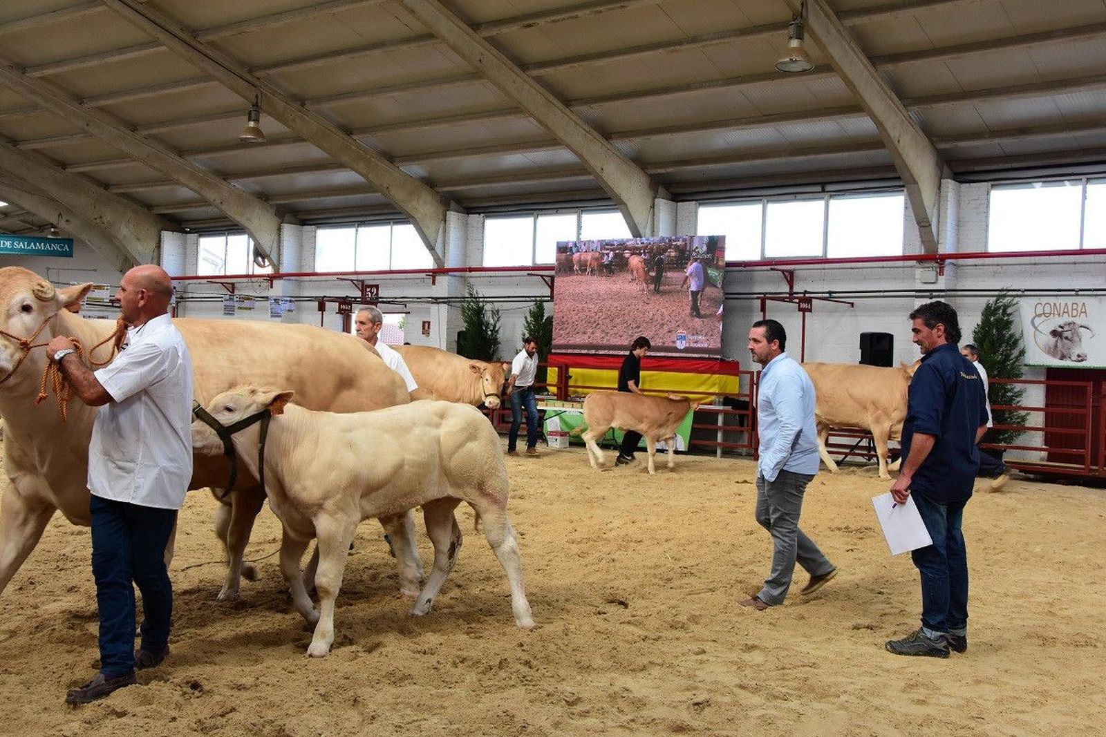 Concurso nacional Blonda Salamaq