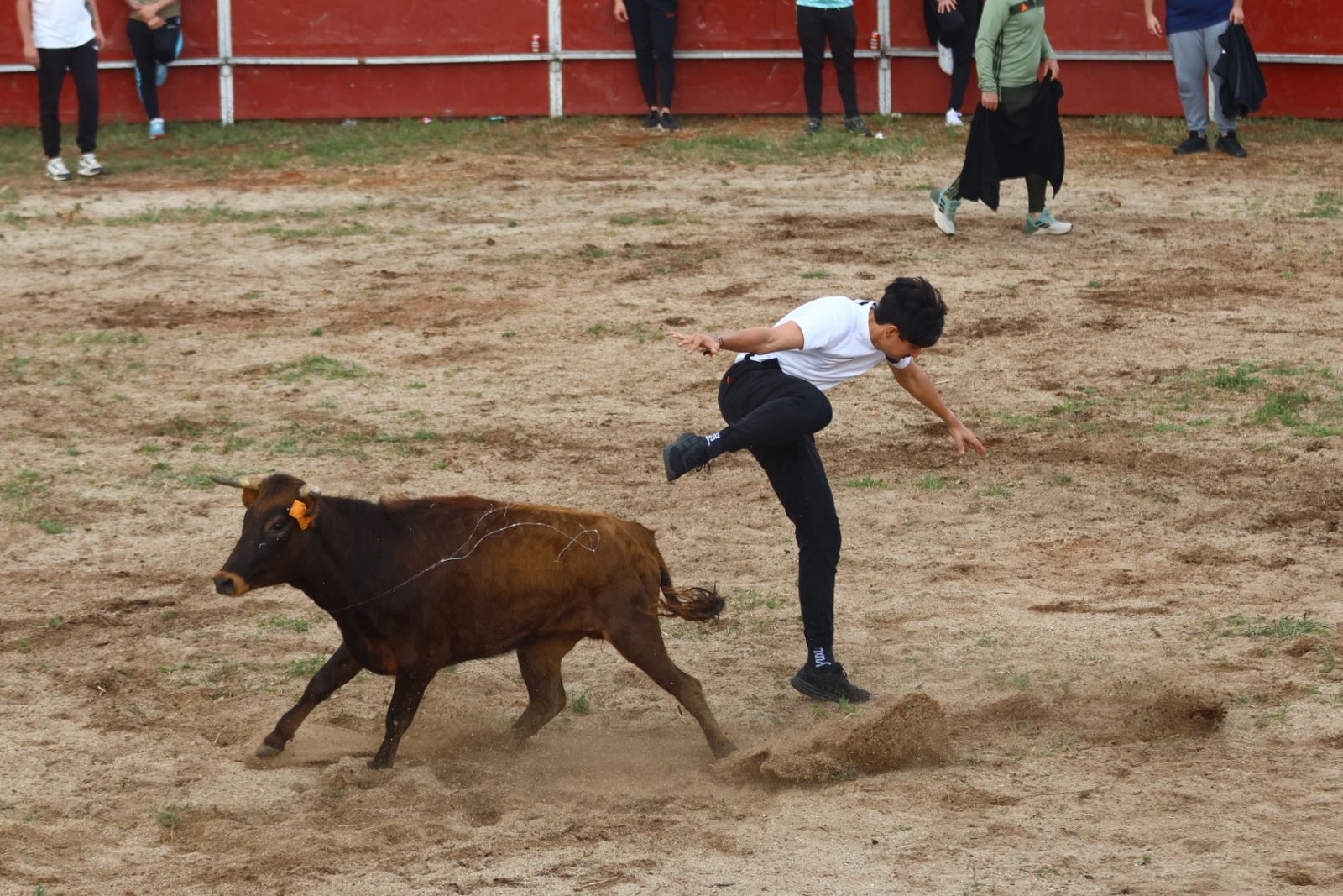 Grand Prix y Capea en Doñinos