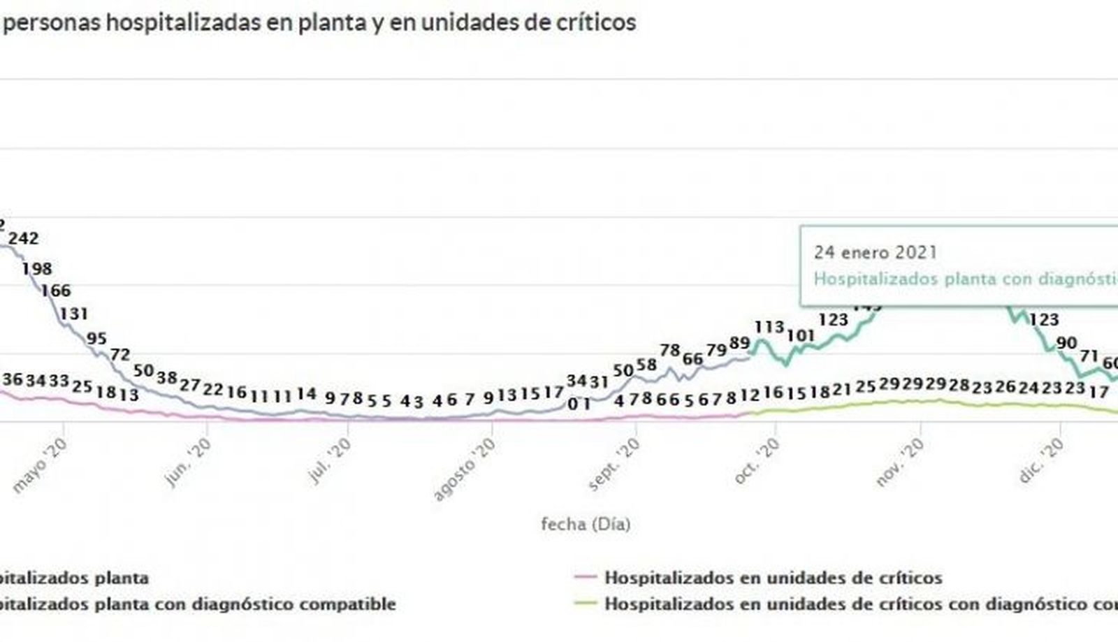 Ocupación en planta a 24 de enero de 2021 gráfica