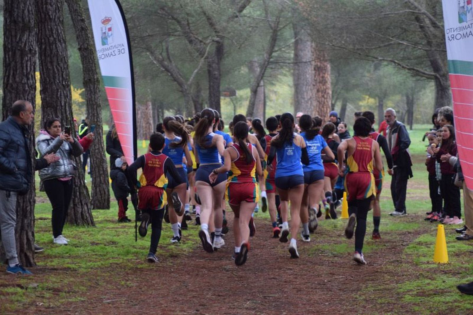 cross-de-otono-en-el-bosque-de-valorio-74