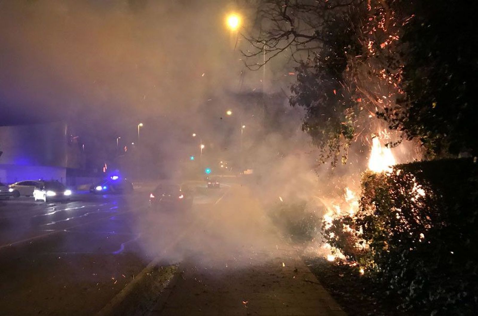 Incendio parque villalpando