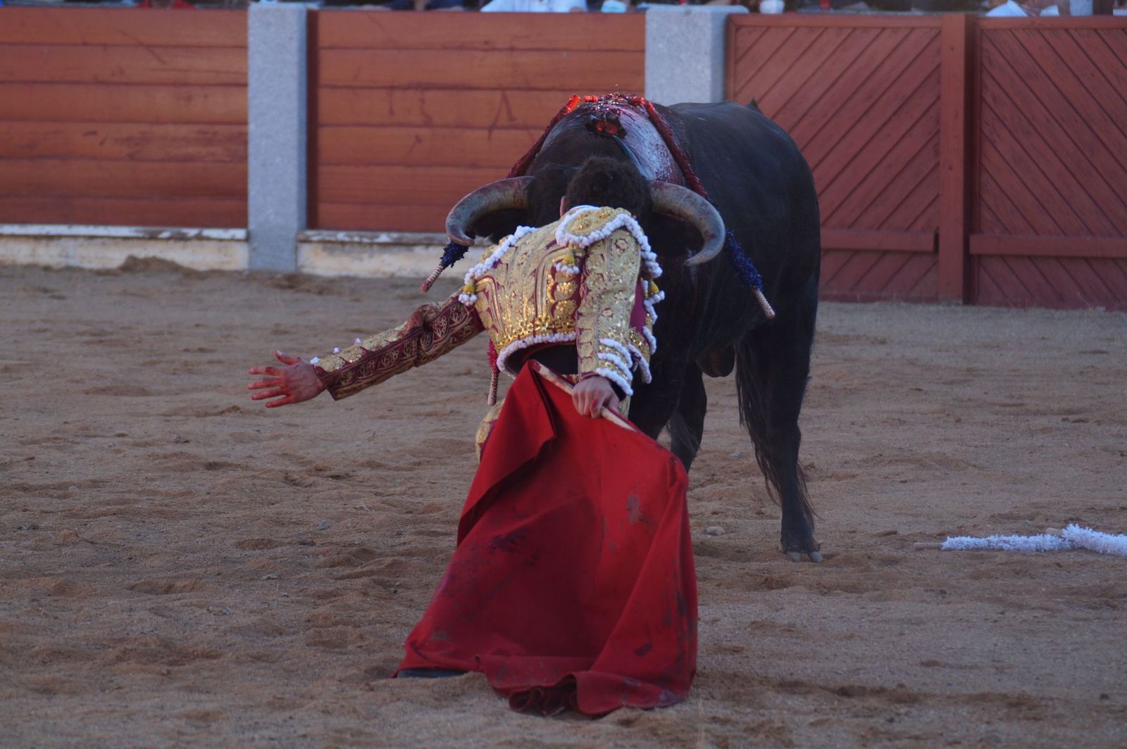 corrida-de-toros-en-guijuelo-17