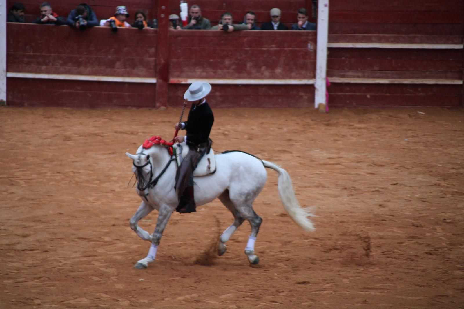 whatsapp-image-2025-03-02-at-18-55-46-1