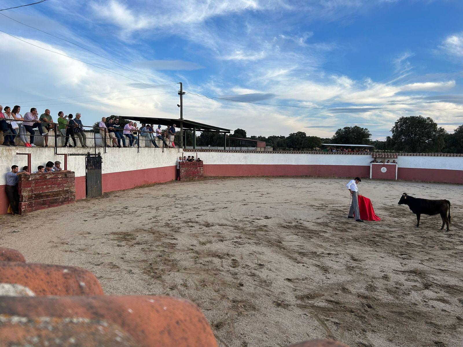 Visita de aficionados salmantinos a la ganadería de 'El Vellosino' Visita de aficionados salmantinos a la ganadería de 'El Vellosino'