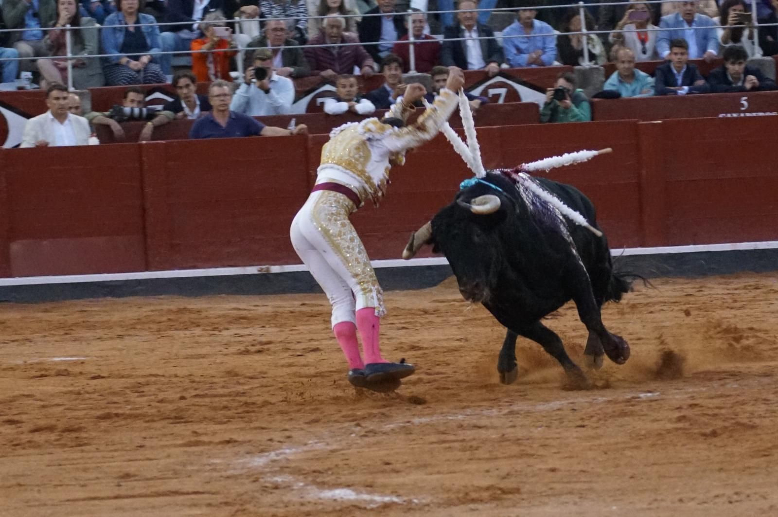 corrida-concurso-momentos-mas-destacados-del-ultimo-festejo-de-abono-de-la-feria-taurina-virgen-de-la-vega-2024-fotos-carlos-h-g-y-juanes-15