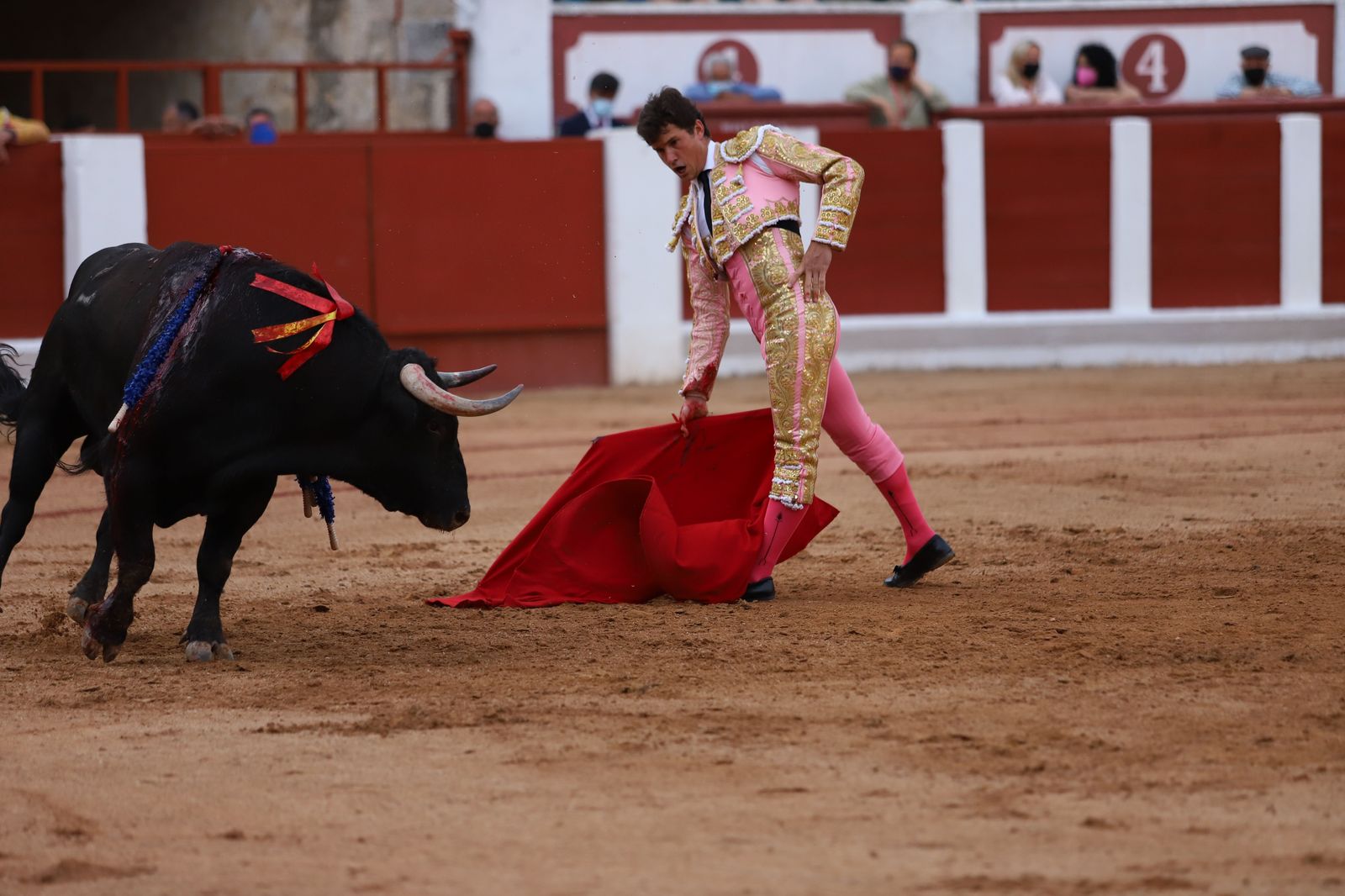 roca-rey-pablo-aguado-y-daniel-luque-en-zamora-65