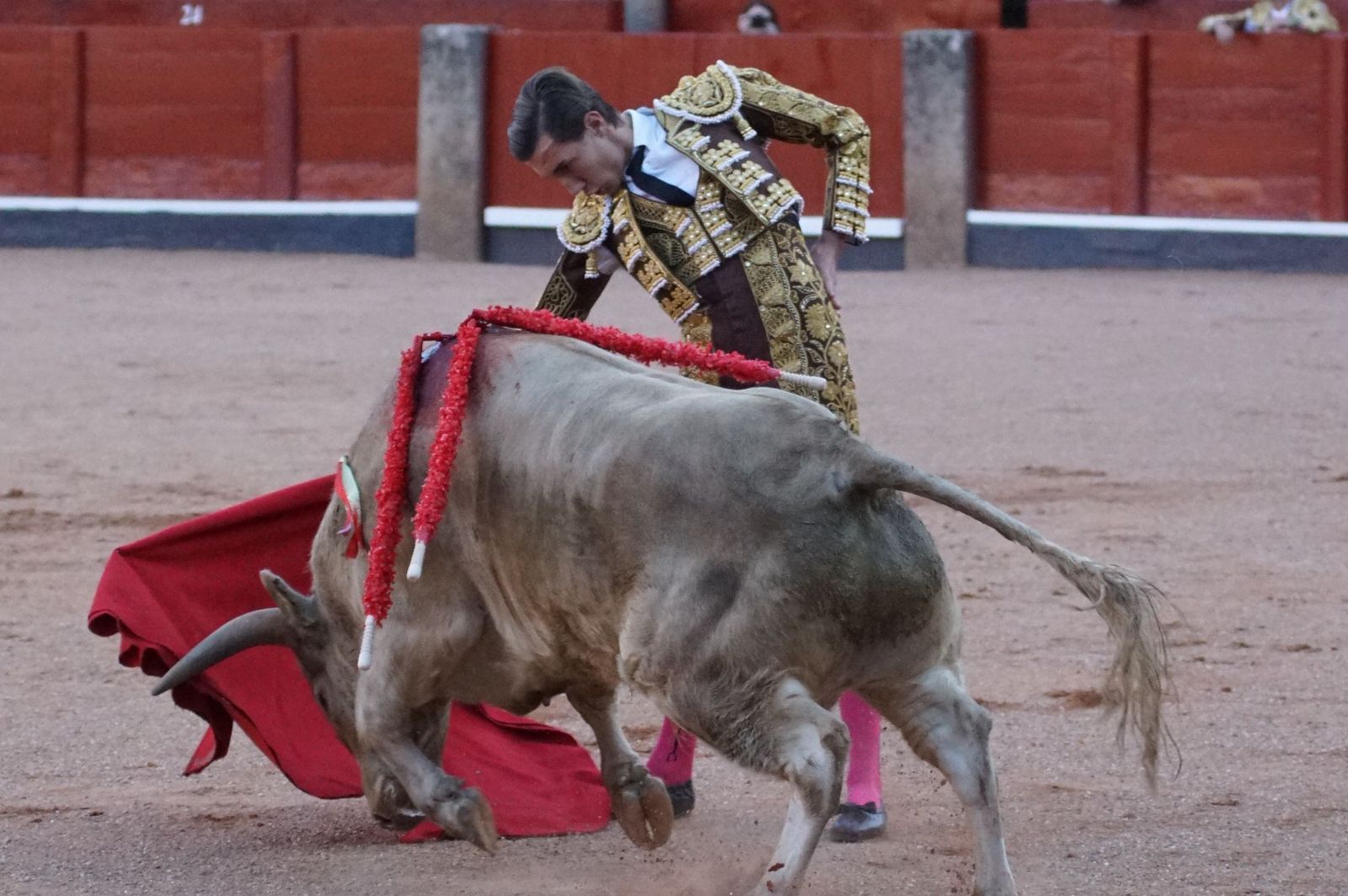 Clase práctica con alumnos de la Escuela de Tauromaquia de Salamanca (Diego Mateos, Noel García y Álvaro Rojo con erales de Esteban Isidro)