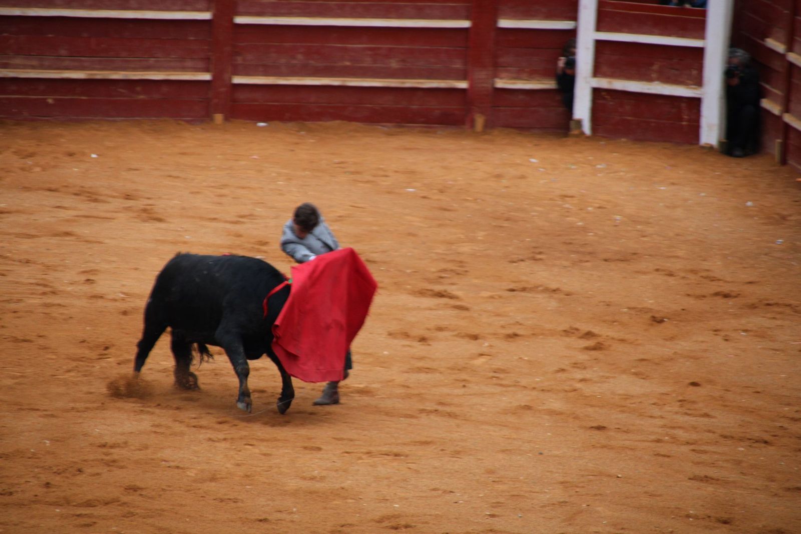 whatsapp-image-2025-03-02-at-18-54-15-1