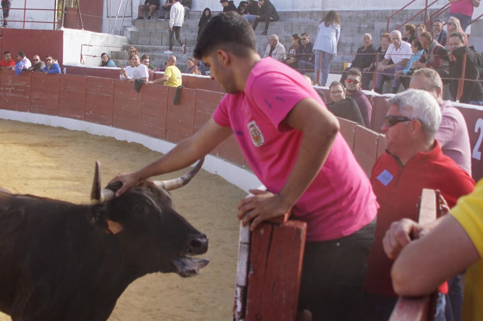 whatsapp-image-2024-09-08-at-14-05-21-9