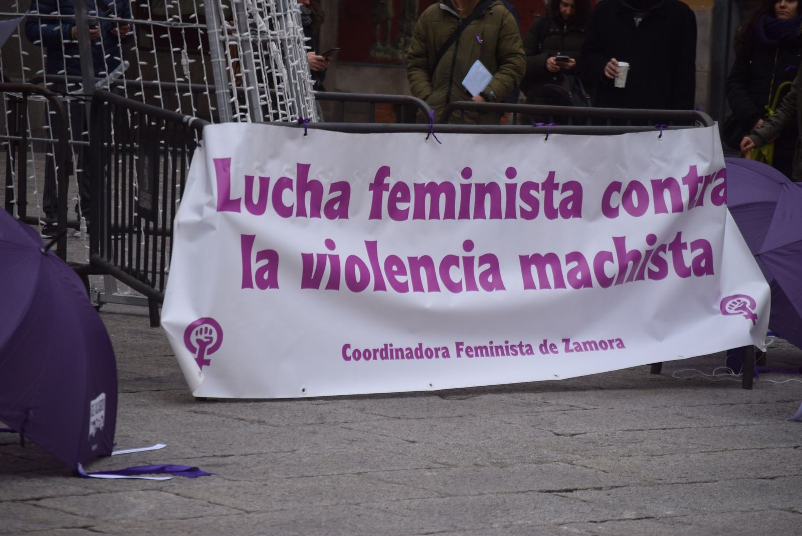 concentracion-25-n-en-zamora-12