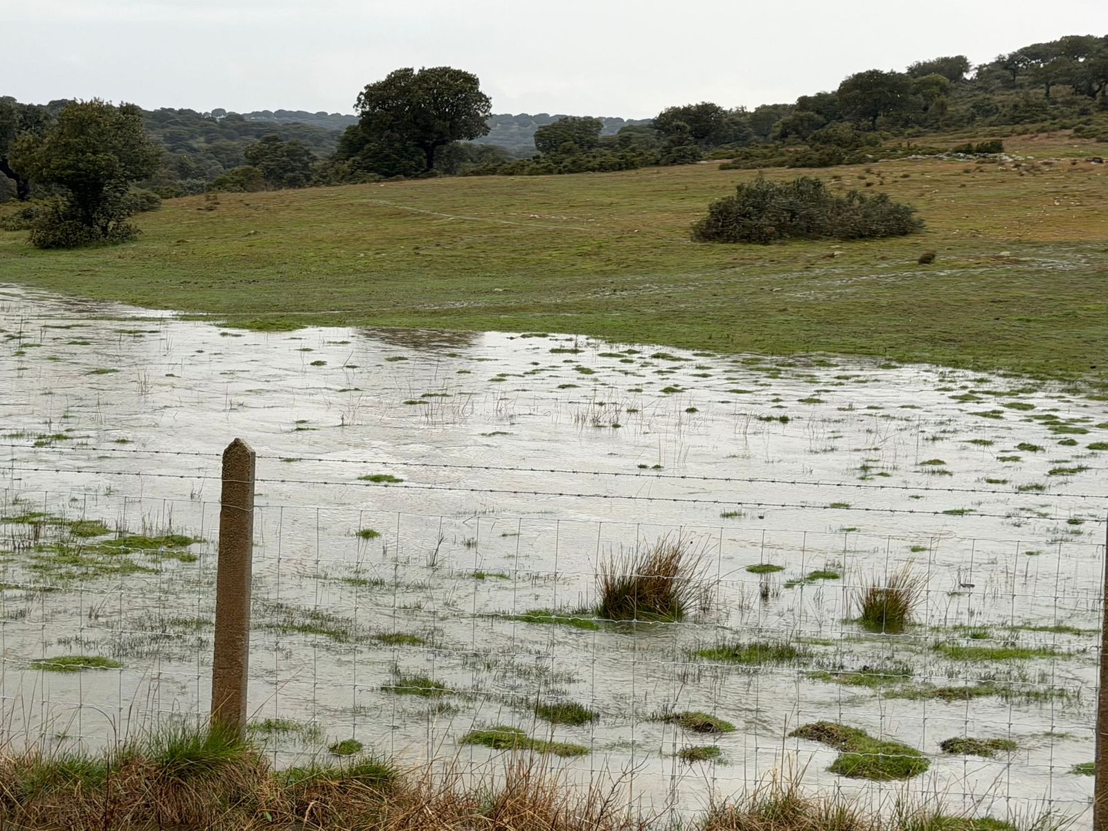Granizo en Mozárbaz