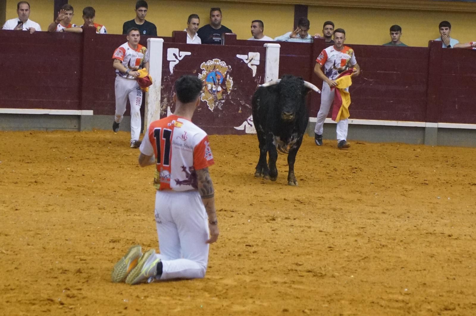 Alba de Tormes celebra un nuevo concurso de cortes