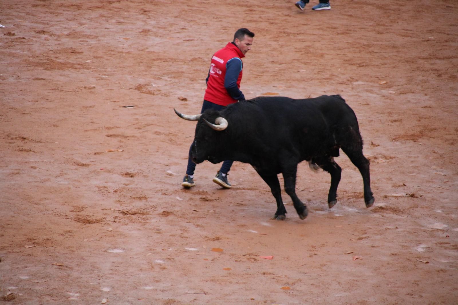 toro-del-aguardiente-en-ciudad-rodrigo-carnaval-24-16