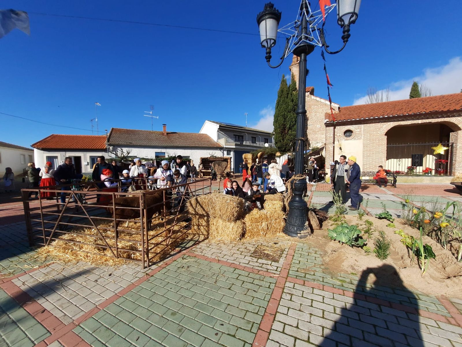 belen-viviente-garcihernadez-2022-14