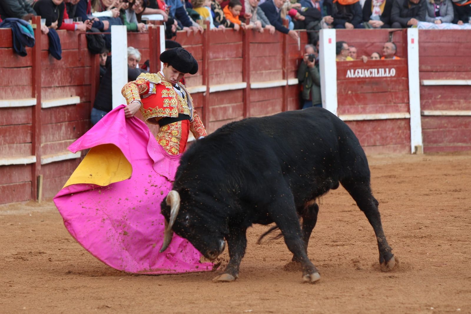 novillada-con-picadores-lunes-de-carnaval-en-ciudad-rodrigo-4