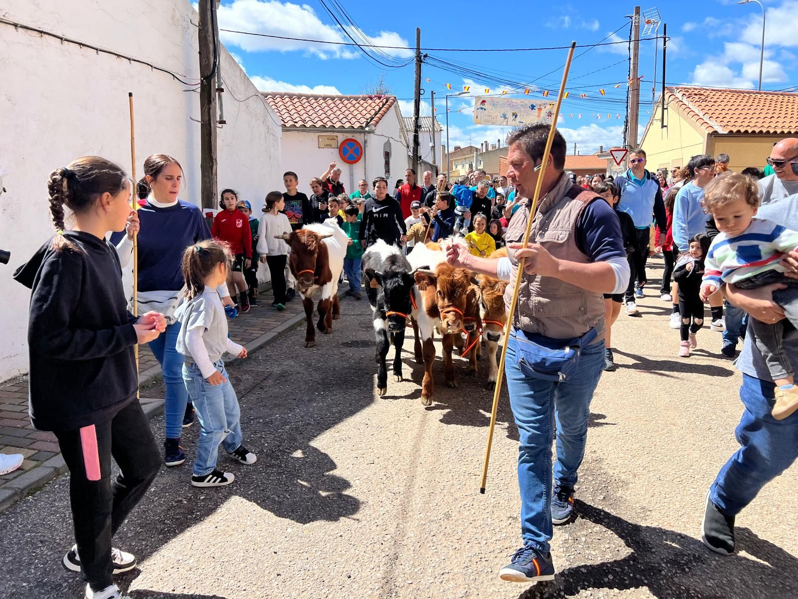 mini-bueyes-en-elas-fiestas-de-doninos-2025-15