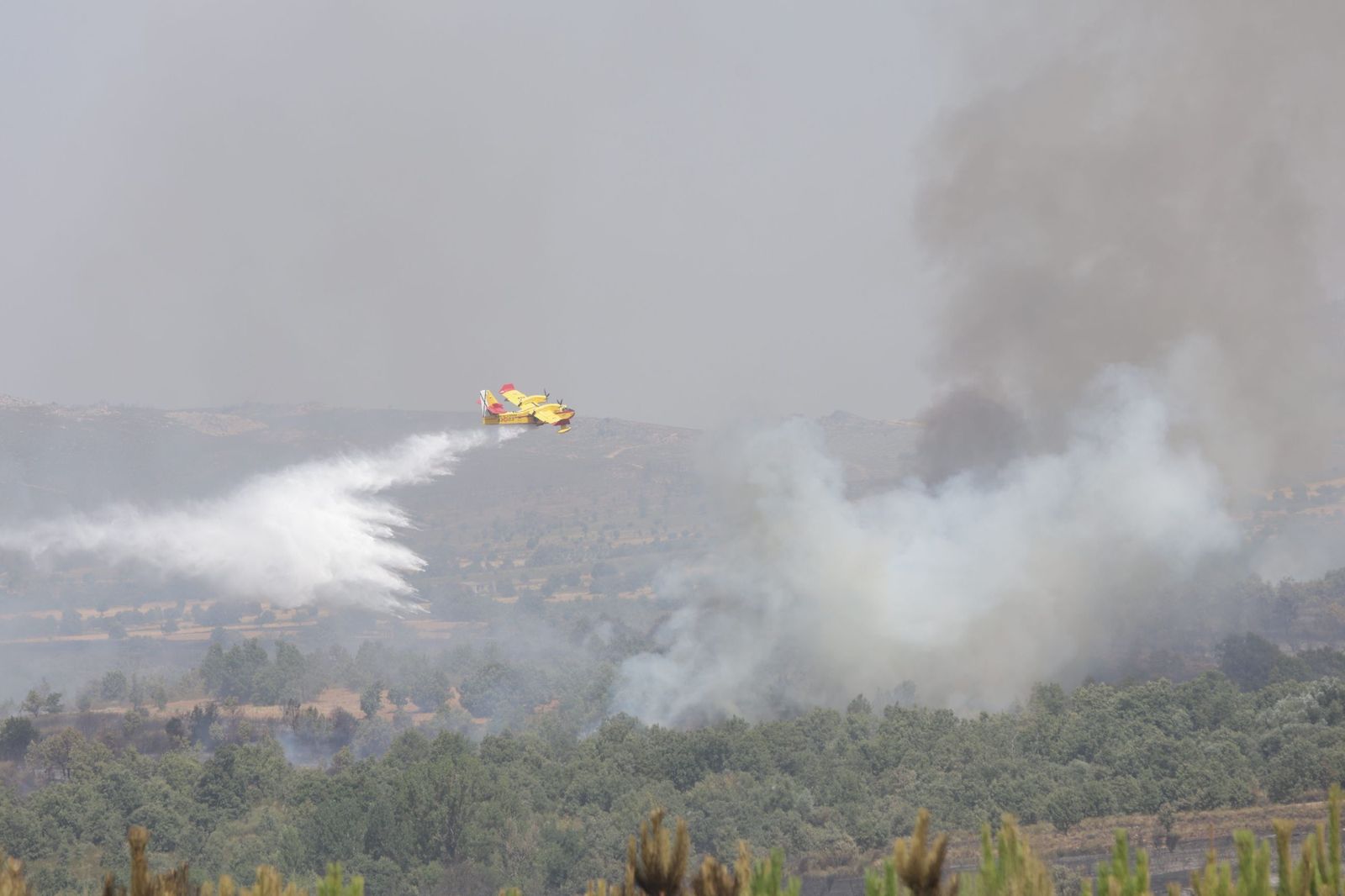 Incendio de Puercas. La situación entre Abejera y Riofrío