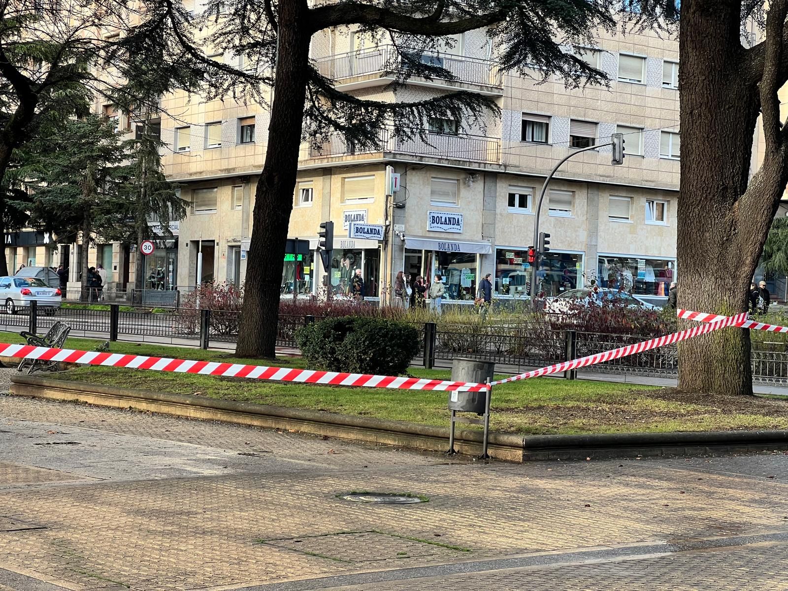 Parques cerrados por viento en Salamanca capital, parque de San Francisco
