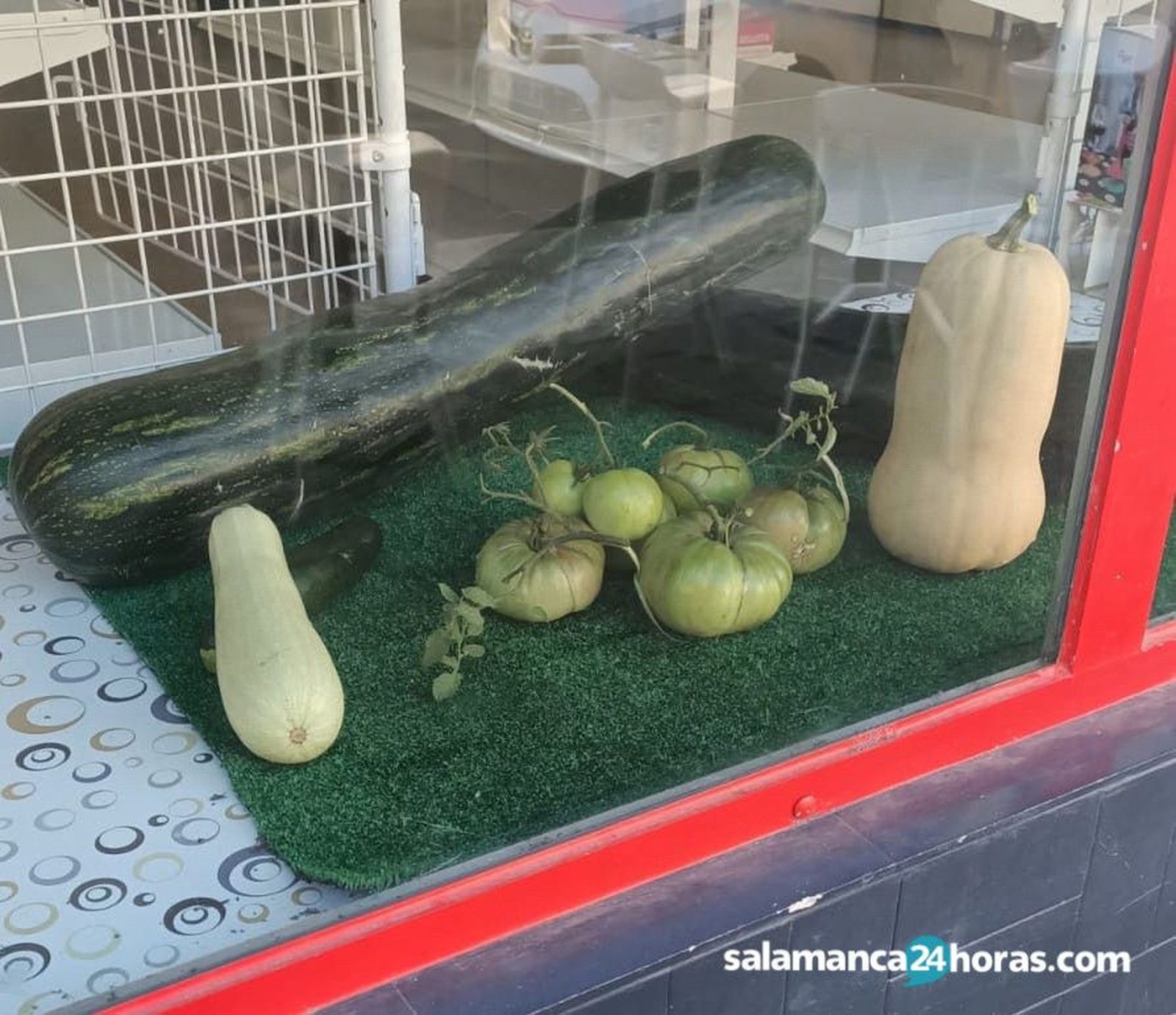 CalabacinWhatsApp Image 2020 09 09 at 11.58.19