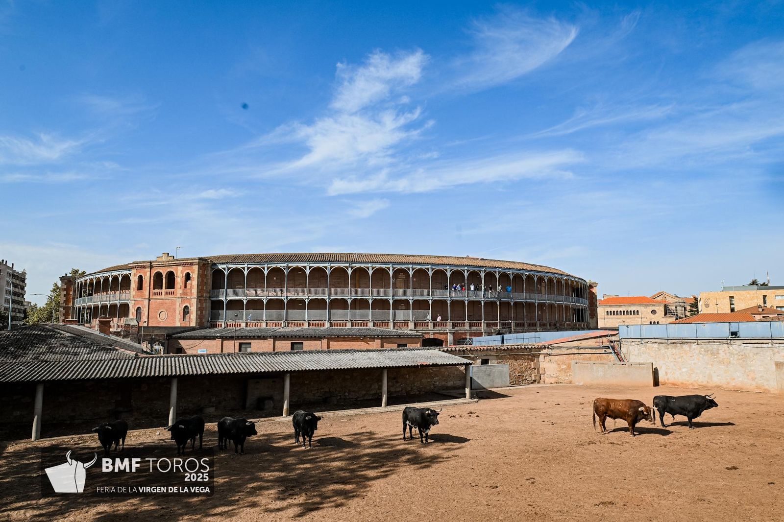 De 'Filósofo' a 'Volador': los toros García y Olga Jiménez para el regreso de Morante a La Glorieta con Ismael Martín y Marco Pérez