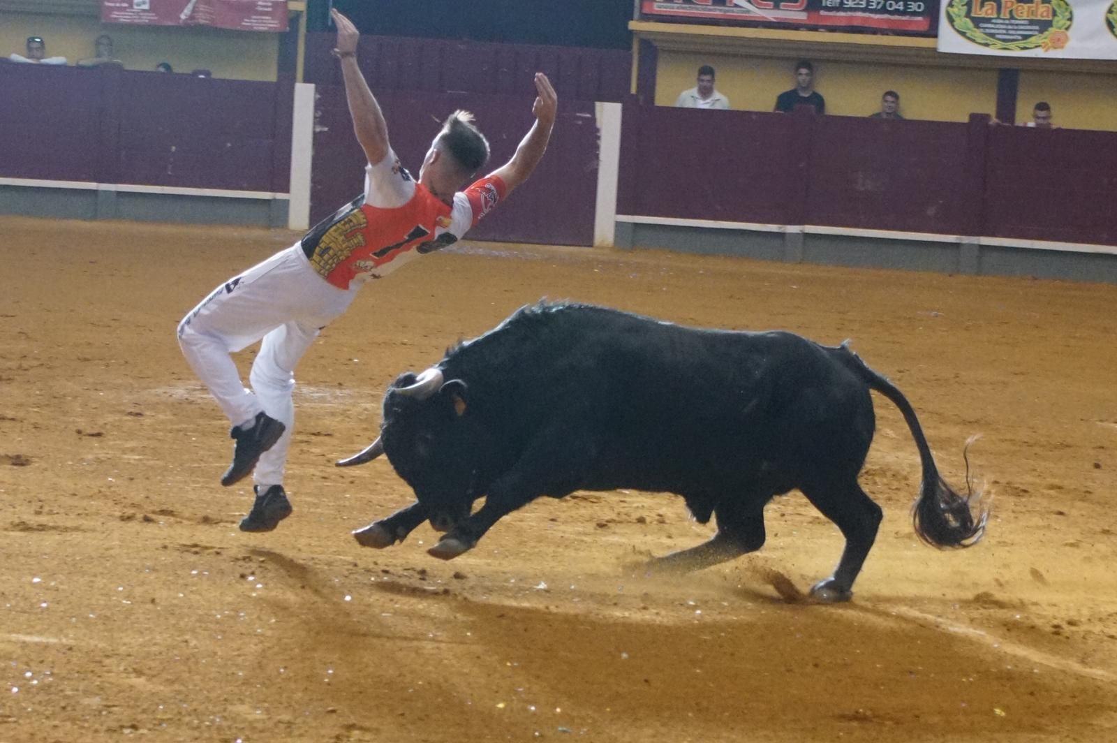 Alba de Tormes celebra un nuevo concurso de cortes