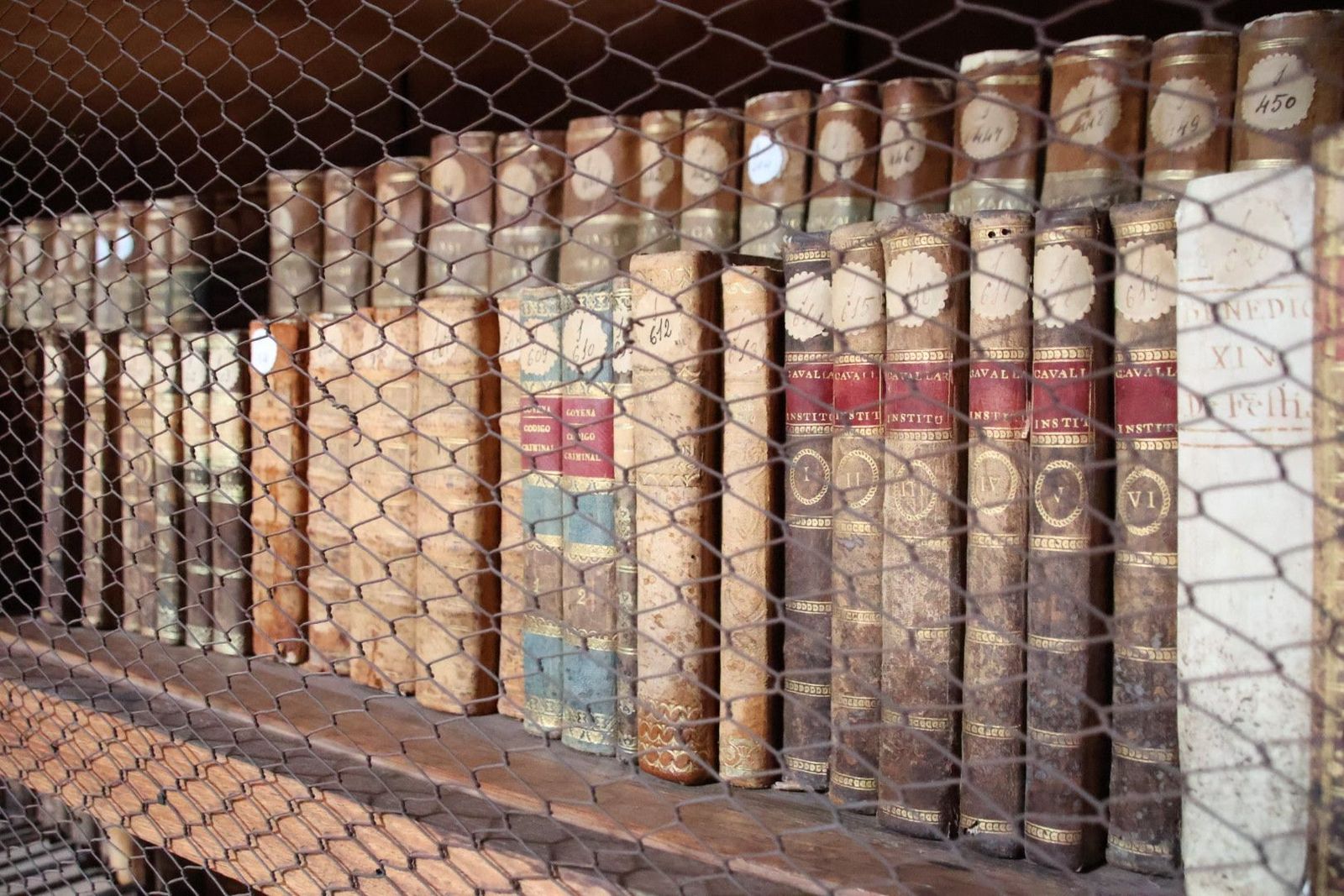 20231005104518-img-1284