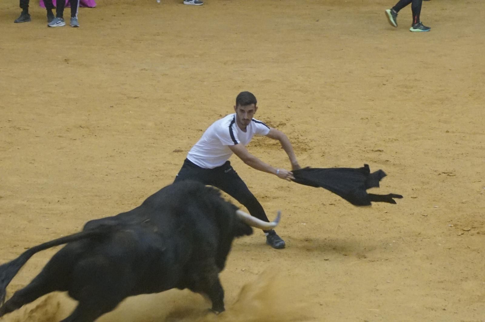 Toro del cajón y capea en Alba de Tormes