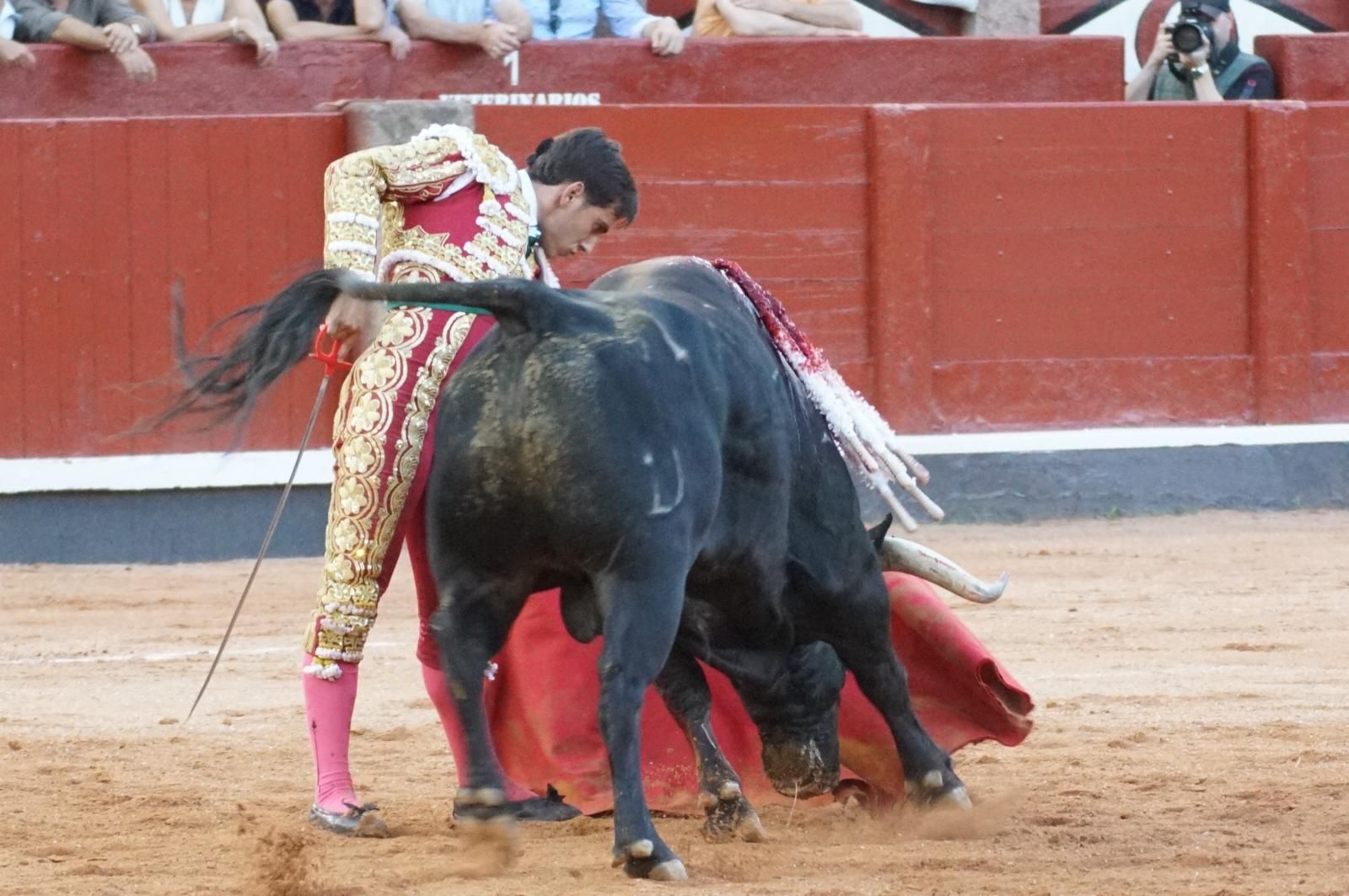 Presencia salmantina por partida doble en la primera corrida de la feria: Damián Castaño e Ismael Martín junto al mexicano Diego San Román