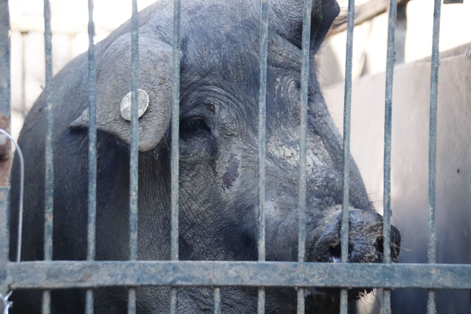 20230204123724-mg-4809