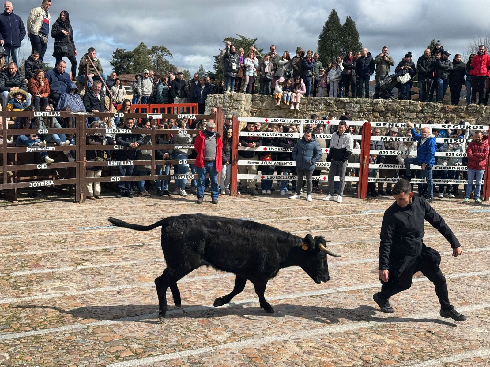 suelta-de-vaquillas-por-el-domingo-de-pinata-en-ciudad-rodrigo-9-de-marzo-de-2025-7